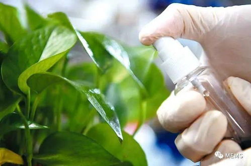 红外光控释农药研发取得重要进展，生物农药技术迎来新突破