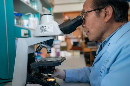 生物农药技术研发 绿色农业的新引擎