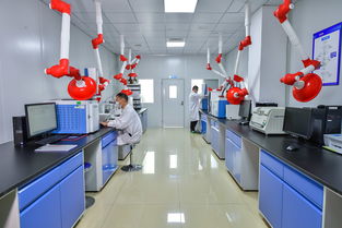 斯坦德检测再次荣获青岛市“专精特新”称号，生物农药技术研发成果获肯定