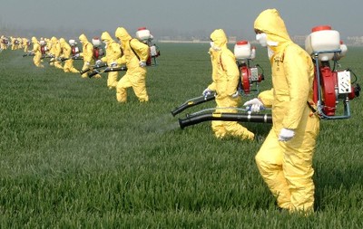 绿色守护 生物农药技术研发——有机农业病虫害防治的关键突破