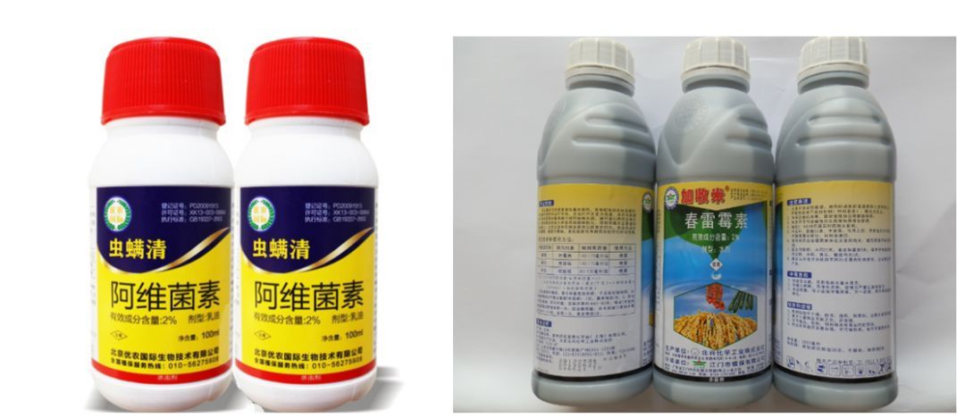 微生物农药的种类及特点 助力绿色农业的生态防控技术解析