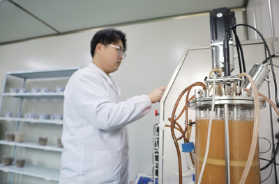 生物农药技术研发 对抗土壤板结与盐碱化的绿色革命